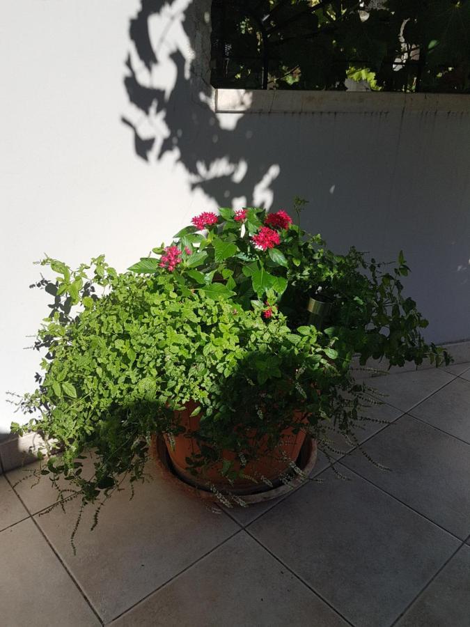 Apartment 22 Omiš Kültér fotó