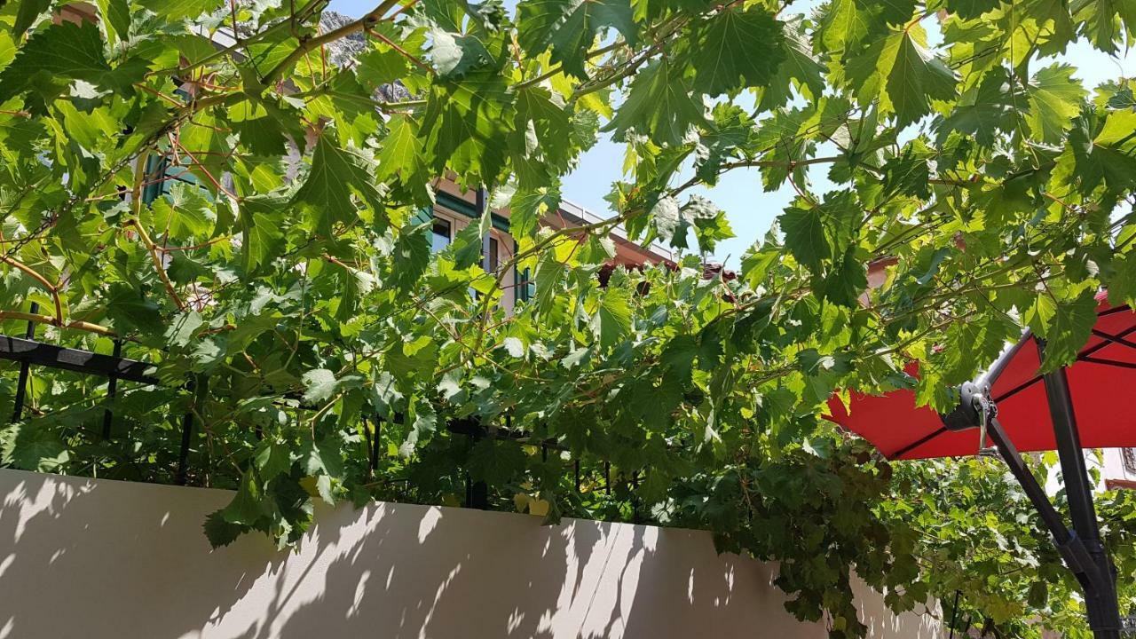 Apartment 22 Omiš Kültér fotó